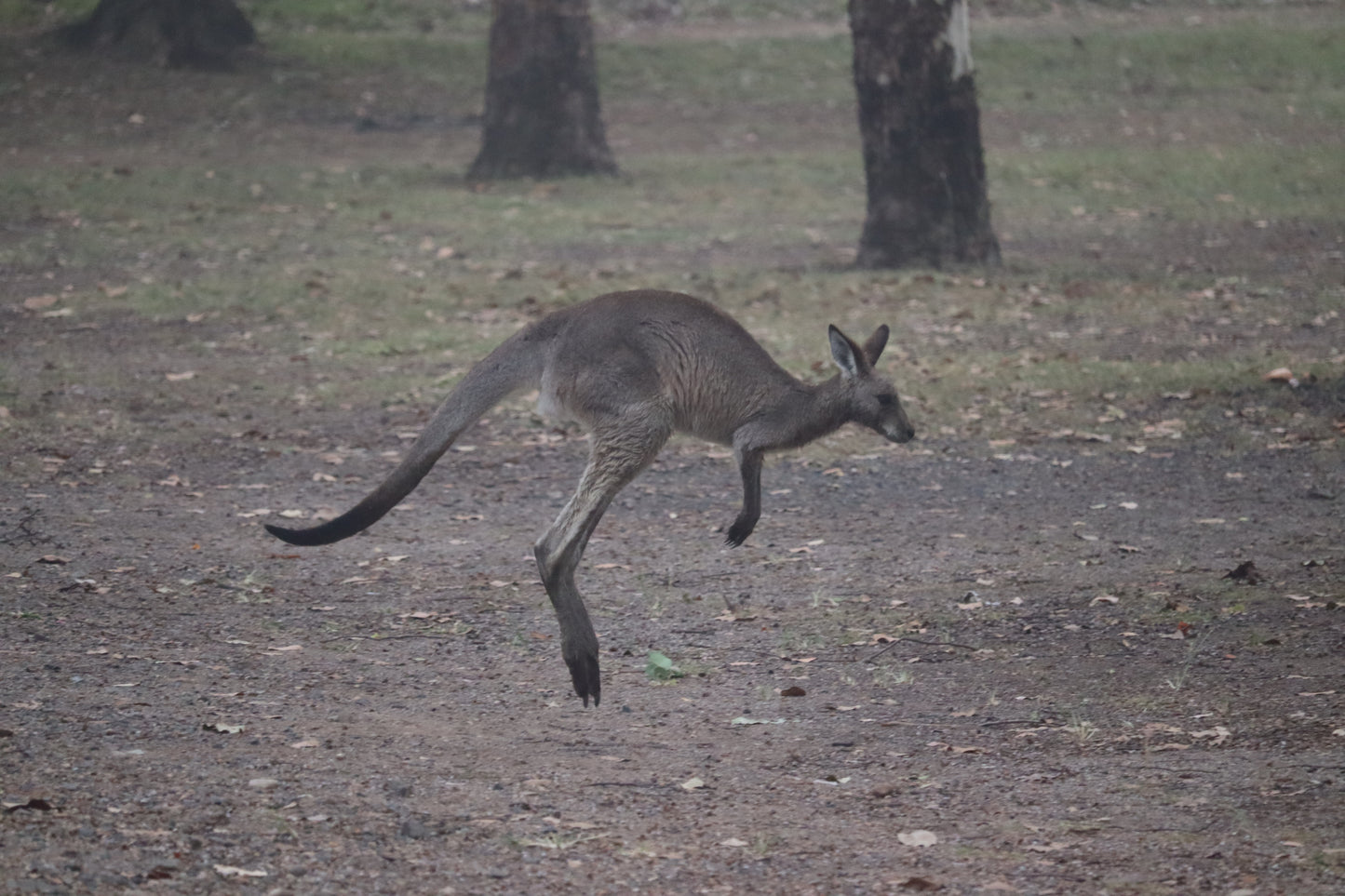 Cania Gorge --- 15 & 16 August 2026