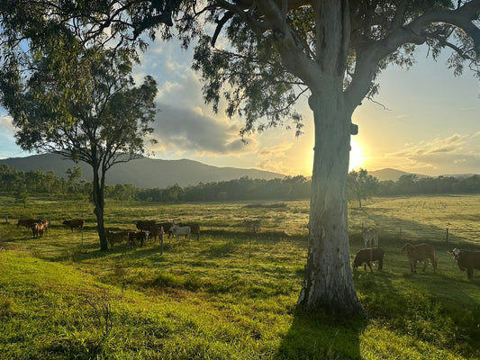 A Beginner’s Guide to Camping and 4WD Adventures in Central Queensland