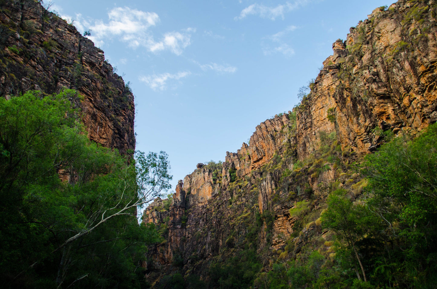 Blackdown Tablelands --- 21 & 22 March 2026