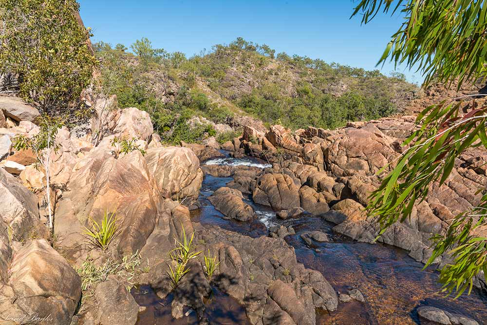 Blackdown Tablelands --- 21 & 22 March 2026