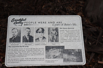 Kroombit Tops --- 21 & 22 November 2026