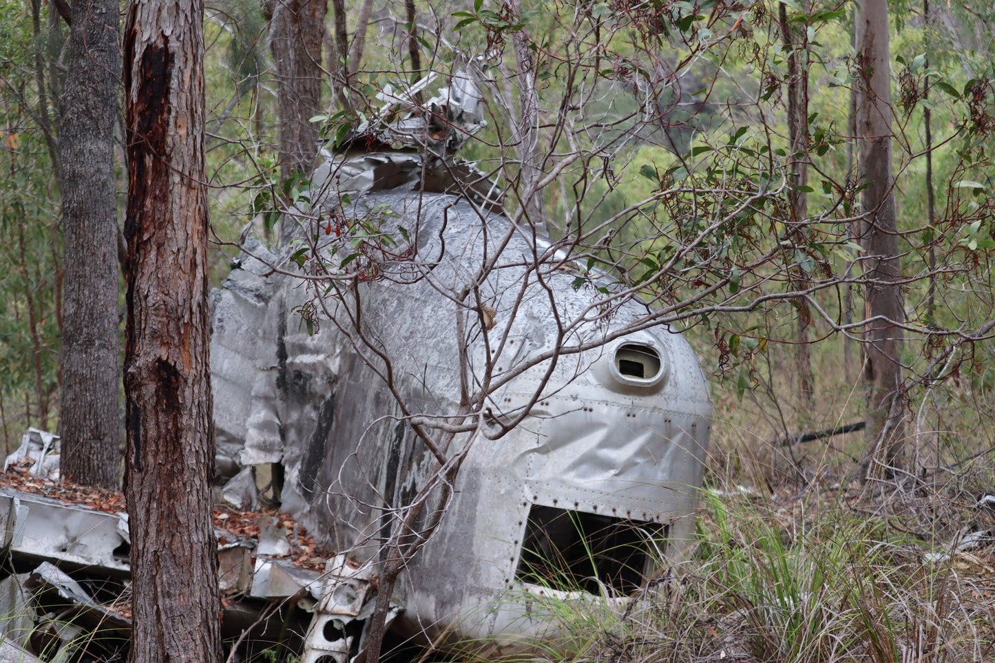 Kroombit Tops --- 21 & 22 November 2026