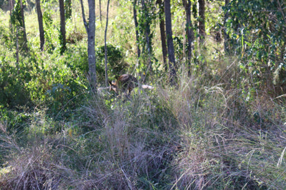 Cania Gorge --- 15 & 16 August 2026