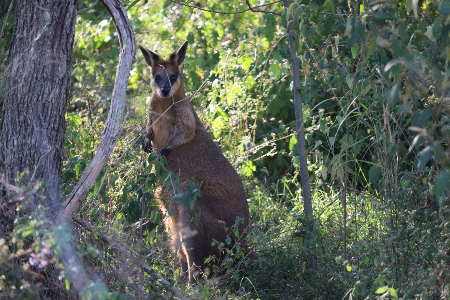 Cania Gorge --- 15 & 16 August 2026