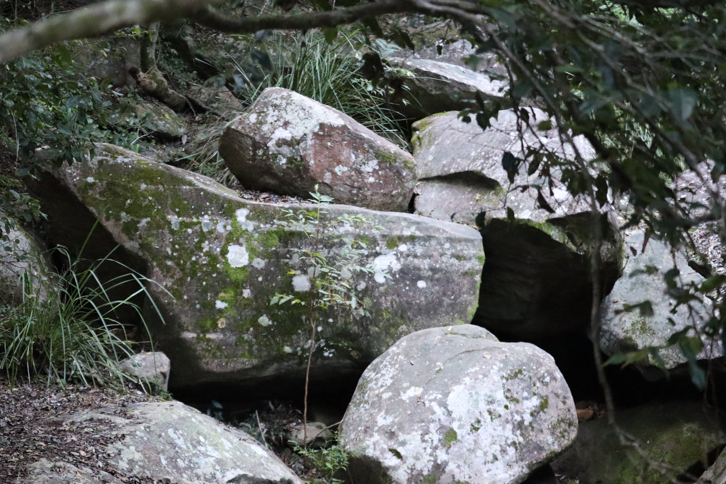 Cania Gorge --- 15 & 16 August 2026