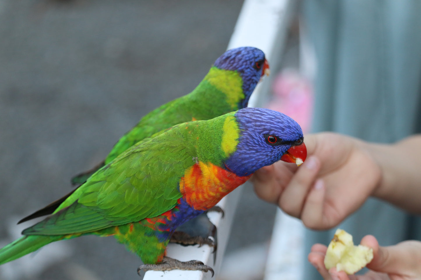 Cania Gorge --- 15 & 16 August 2026