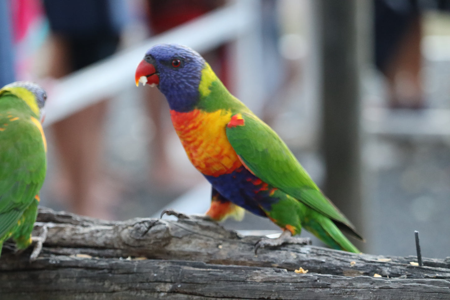 Cania Gorge --- 15 & 16 August 2026