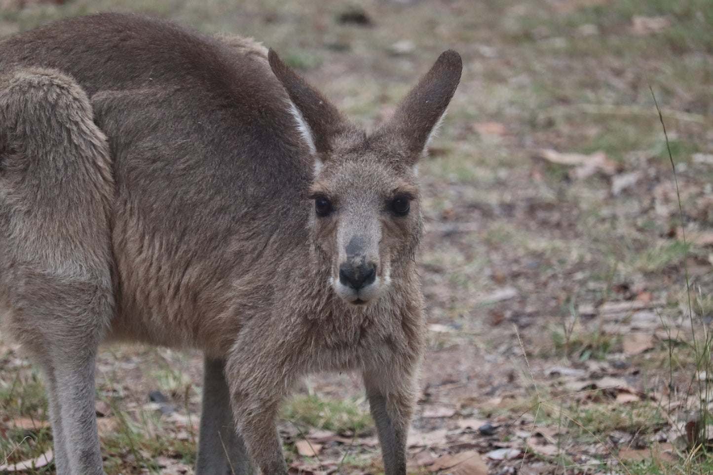 Cania Gorge --- 15 & 16 August 2026