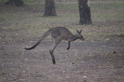 Cania Gorge --- 15 & 16 August 2026