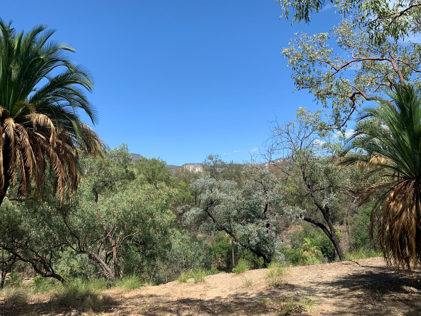 Carnarvon Gorge --- 5 to 7 June 2026