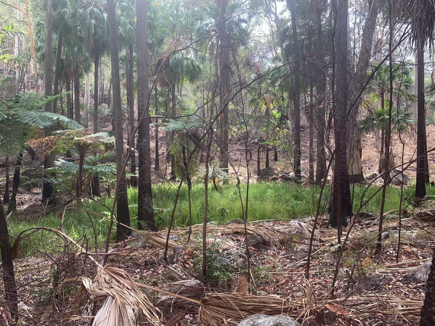 Carnarvon Gorge --- 5 to 7 June 2026