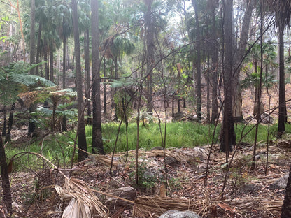 Carnarvon Gorge --- 5 to 7 June 2026