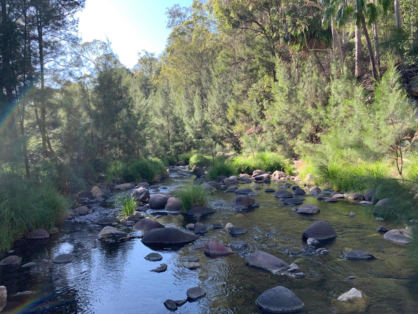 Carnarvon Gorge --- 5 to 7 June 2026