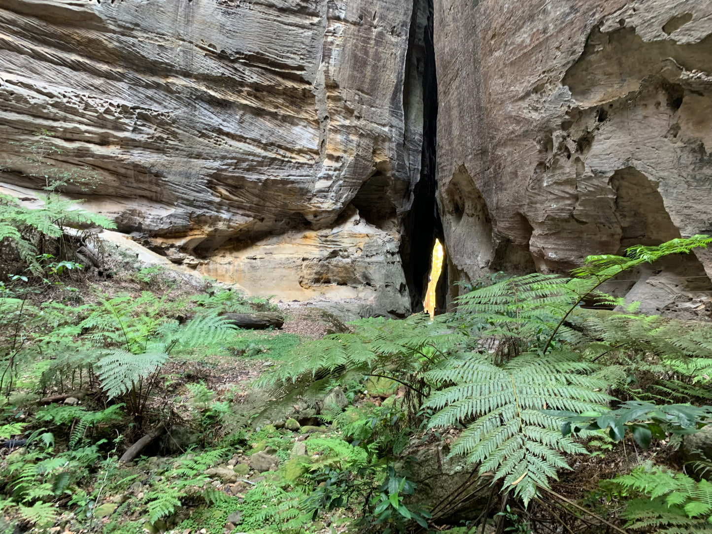 Carnarvon Gorge --- 5 to 7 June 2026