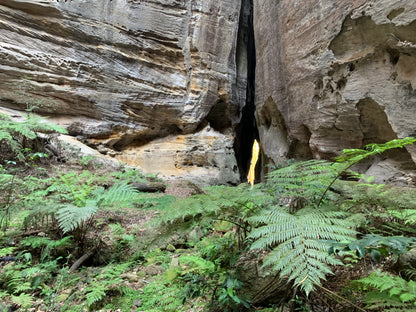 Carnarvon Gorge --- 5 to 7 June 2026