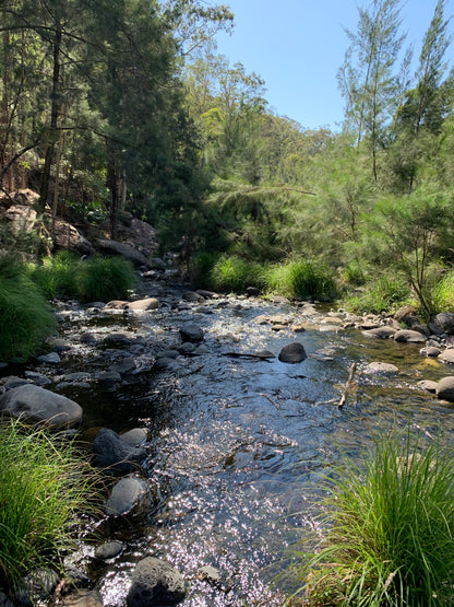 Carnarvon Gorge --- 5 to 7 June 2026