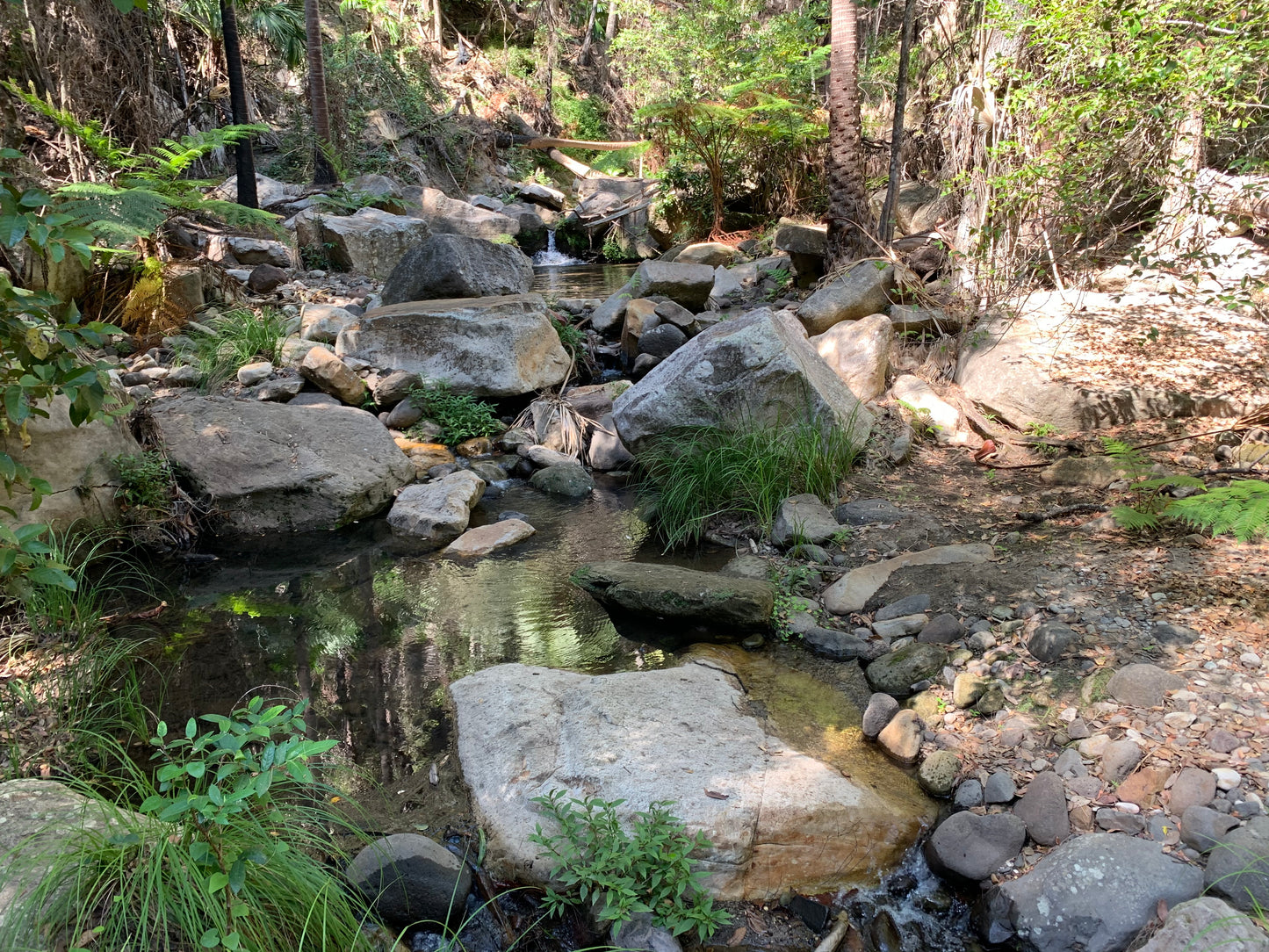 Carnarvon Gorge --- 5 to 7 June 2026