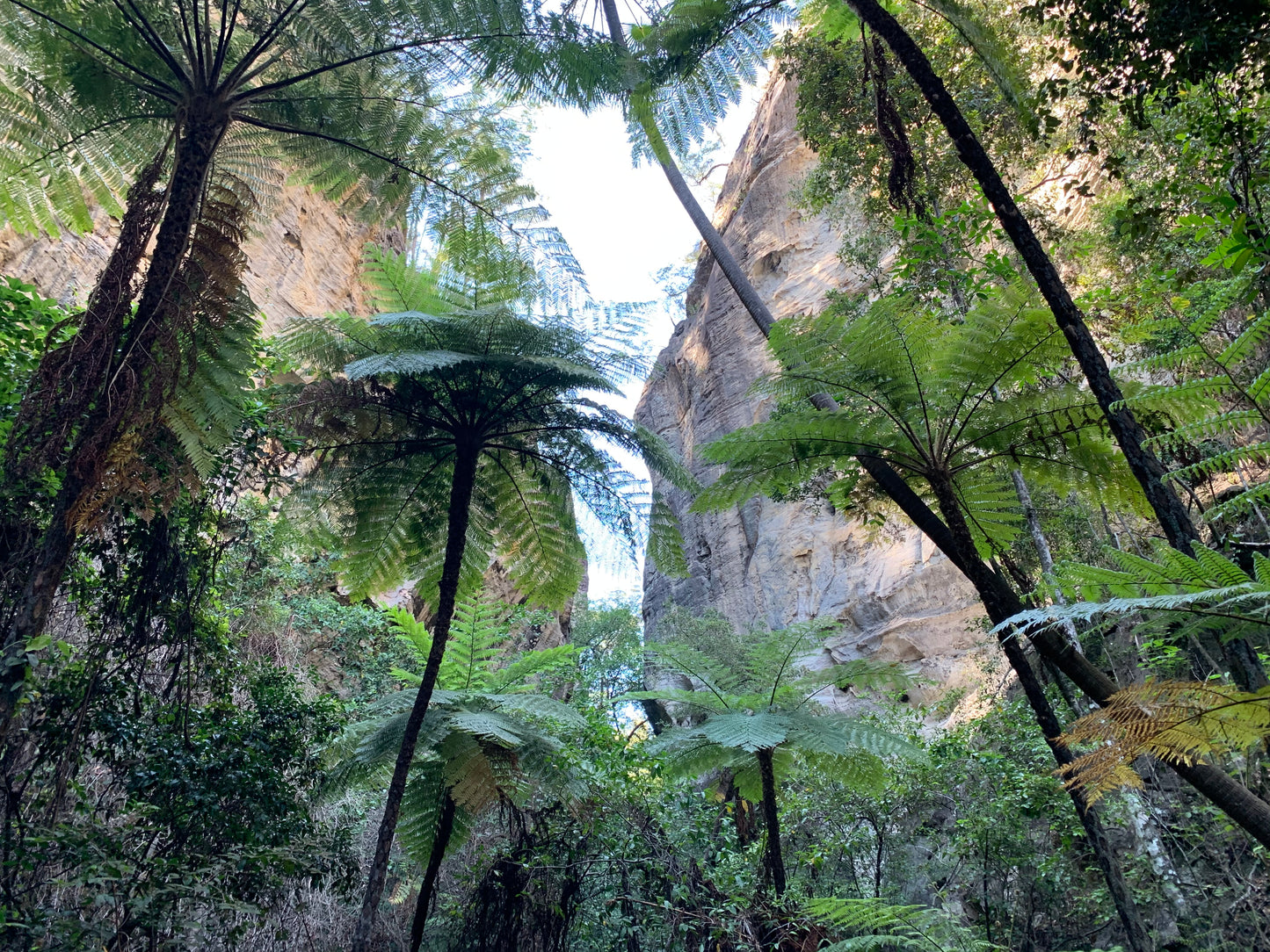 Carnarvon Gorge --- 5 to 7 June 2026