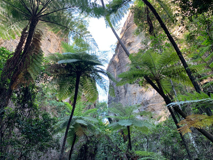 Carnarvon Gorge --- 5 to 7 June 2026