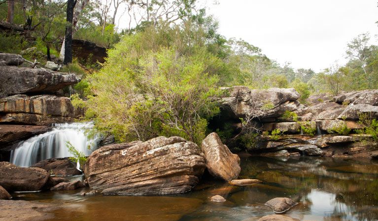 Blackdown Tablelands --- 21 & 22 March 2026