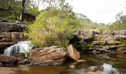 Blackdown Tablelands --- 21 & 22 March 2026
